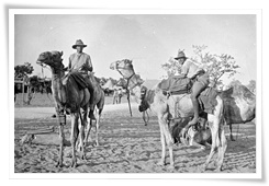 Deux soldats britanniques apprenant à monter sur un chameau