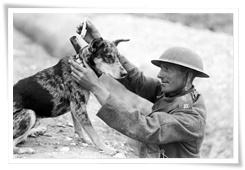Un chien de liaison et un sergent des transmissions du Royal Engineers Signals