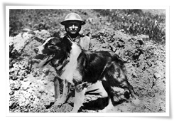 Un soldat britannique avec Bruce, un chien messager