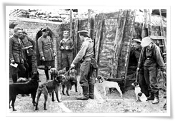 Des soldats allemands et leurs chiens de liaison