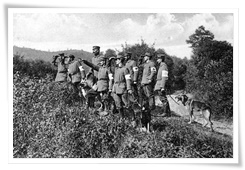 Des soldats allemands et leurs chiens médicaux