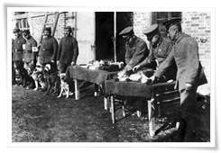Une consultation vétérinaire des chiens militaires allemands