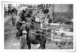 Mulets et muletiers indiens prêts pour le transport de matériel